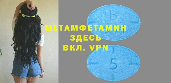 прущие грибы Алагир