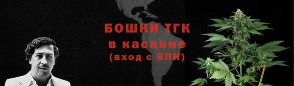 прущие грибы Алагир